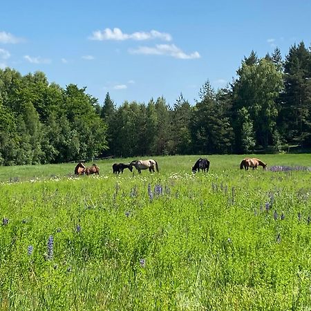 Koziula - Domki I Lesne Spa Na Kaszubach Пшевиц Екстериор снимка