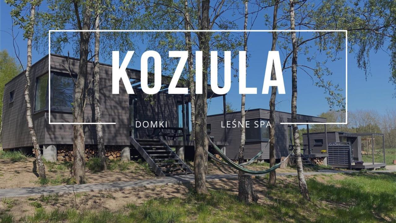Koziula - Domki I Lesne Spa Na Kaszubach Пшевиц Екстериор снимка