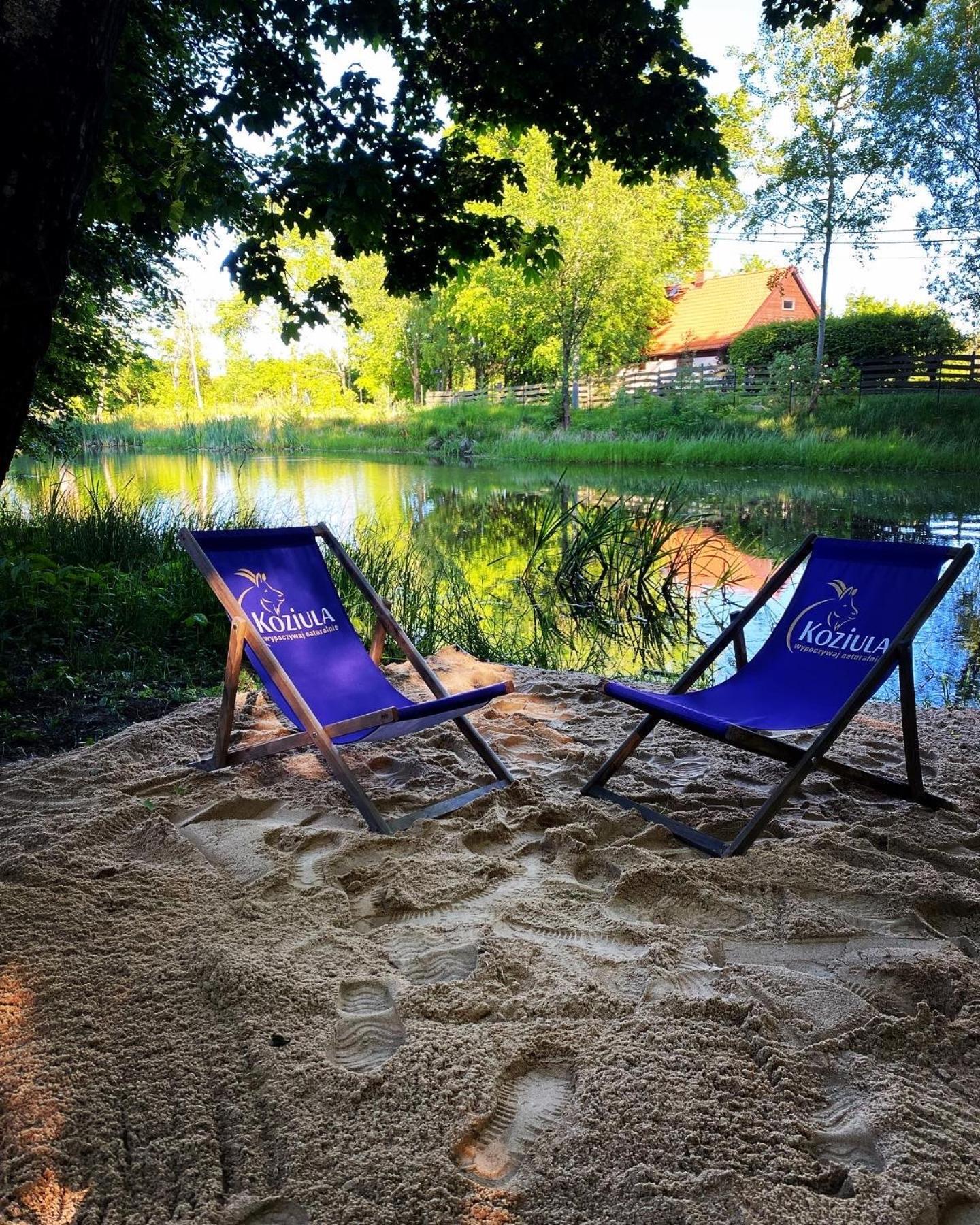 Koziula - Domki I Lesne Spa Na Kaszubach Пшевиц Екстериор снимка